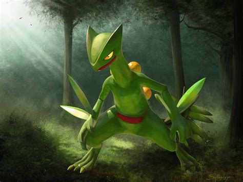 sceptile deviantart|Sceptile official artwork gallery .